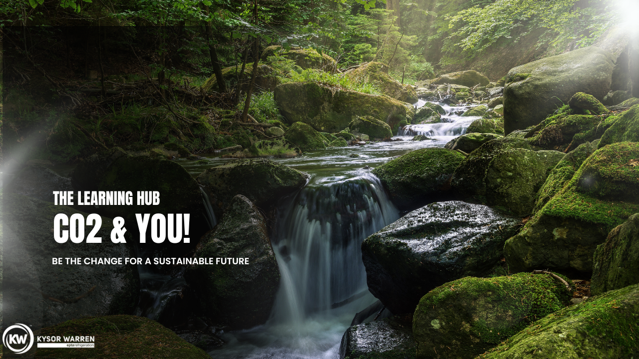 Training Class - Columbus, GA: May 6th & 7th, 2025: 8AM-5PM EST Vendors + Guests