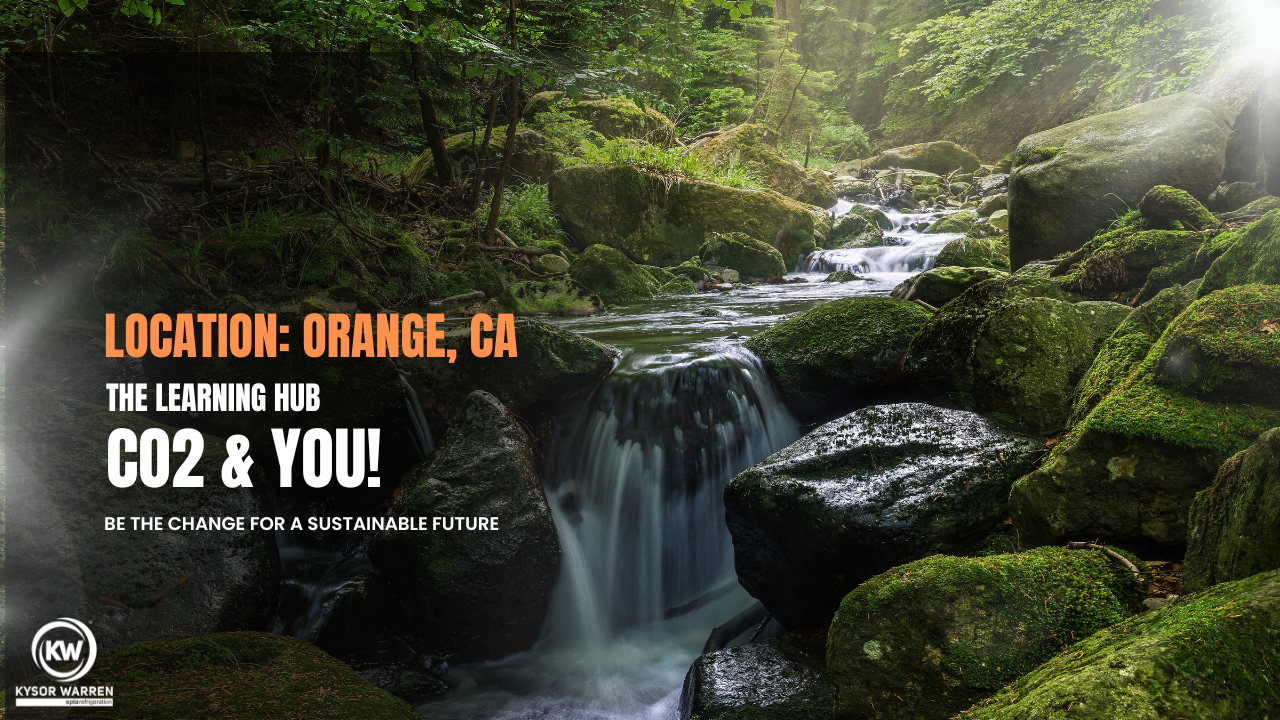 Training Class - Orange Co, CA: March 26th, 2026: 8AM-5PM PST Vendors + Guests
